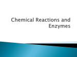 Chemical Reactions and Enzymes