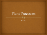 Plant Processes - Science with Ms. C