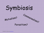 Symbiosis examples