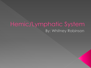 Hemic/Lymphatic System