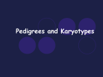 Pedigrees and Karyotypes - Social Circle City Schools