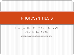 photosynthesis - UniMAP Portal