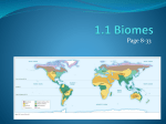 1.1 Biomes - mshuisman