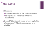 Cell Membrane and Transport