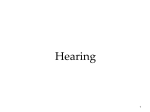 Hearing - OnCourse