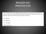 BIOLOGY EOC practice q`s 2014 ANSWERS!!!.