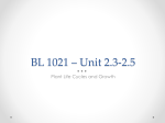 BL 1021 – Unit 2-3 Plants III
