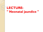 lecture: " Neonatal jaundice "