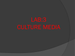 LAB:4 CULTURE MEDIA