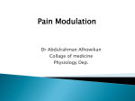 L27-Pain Modulation2014-08-23 10:541.3 MB