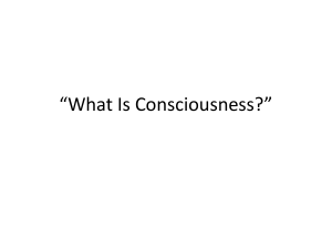 *What Is Consciousness?*