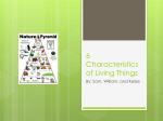 6 Characteristics of Living Things