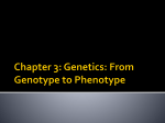 Chapter 3: Genetics: From Genotype to Phenotype