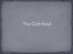 The Cod Head 2A