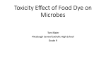 CCHS Tom Maier Food Dye Toxicity Effects on Microbes