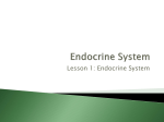Endocrine glands and hormones
