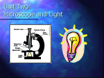 Unit Two: Microscope and Light