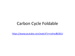 Carbon Cycle Foldable