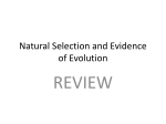 Nat Selection and Evidence of Evol Review Activity