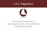 2.E.2 Regulation