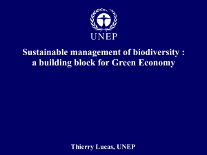 a building block for Green Economy Why is biodiversity important for