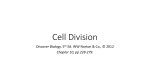 DiscBio_C10 Cell division PwrPnt