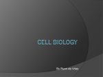 Cell biology - SC286Organisms
