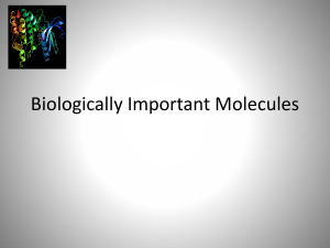 Biologically Important Molecules