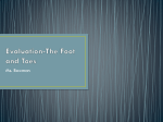 Evaluation-The Foot and Toes