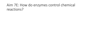 How Enzymes Work - Manhasset Public Schools