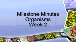 Milestone Minutes Organisms Week 2 Plants obtain energy through