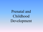 Prenatal and Childhood Development