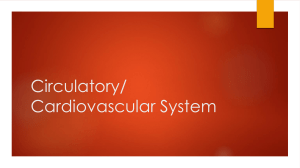 Circulatory/ Cardiovascular System