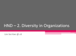 HND * 2. Diversity in Organizations