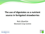 The use of digestates as a nutrient source in fertigated strawberries