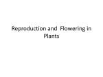 6. Reproduction of plants File - E
