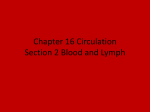 Chapter 16 Circulation Section 2 Blood and Lymph