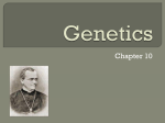 Genetics - My CCSD
