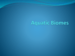 Aquatic Biomes