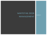 Whitetail Deer Management - Effingham County Schools