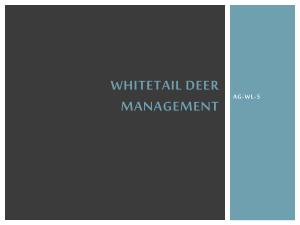 Whitetail Deer Management - Effingham County Schools