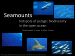 Seamounts