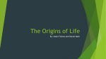 Origins of Life - My George School