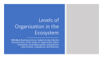 Levels of Organization in the Ecosystem