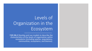 Levels of Organization in the Ecosystem