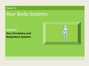LESSON 3 Your Circulatory and Respiratory Systems