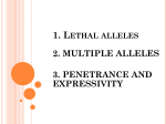 lethal allelles and multiple allelees