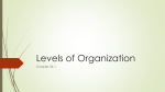 Levels of Organization Biology