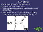 3. Proteins