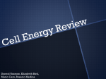 Cell Energy Student Review